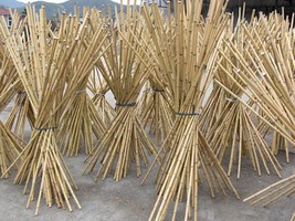 Essiccaggio e stoccaggio di bambù