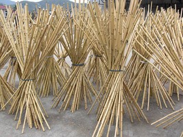 Essiccaggio e stoccaggio di bambù