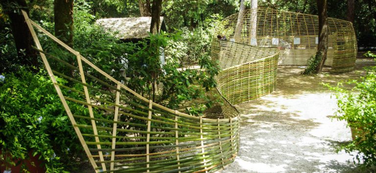 Tetard - Installazione in bambù
