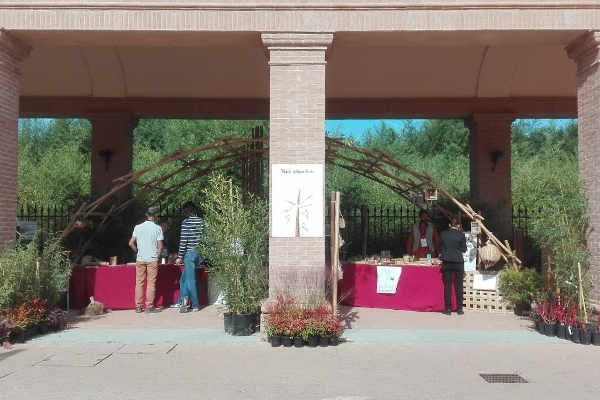 arco di Leonardo_Labirinto della Masone