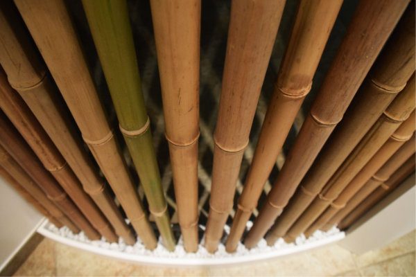 parete in bambù6